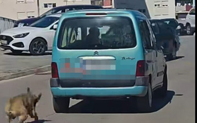UZNEMIRUJUĆE U Šibeniku vukao zavezanog psa autom po cesti, policija ga je uhitila