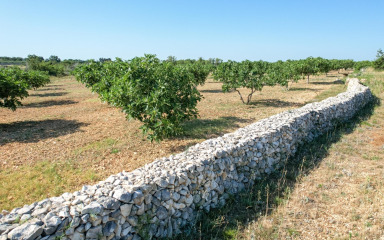 Zadarska županija podijelila 25 tisuća eura udrugama iz poljoprivrede, ribarstva i zaštite životinja