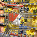 Za jedno radno mjesto u prodaji i logistici na domaćem tržištu bori se i do – 70 kandidata