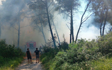 Izbio požar u blizini kuća u Kožinu, izgorjelo hektar i pol borove šume