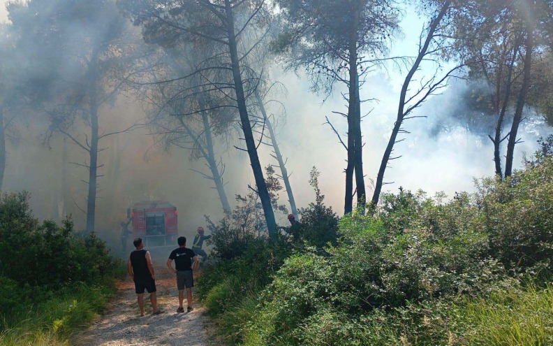 Izbio požar u blizini kuća u Kožinu, izgorjelo hektar i pol borove šume