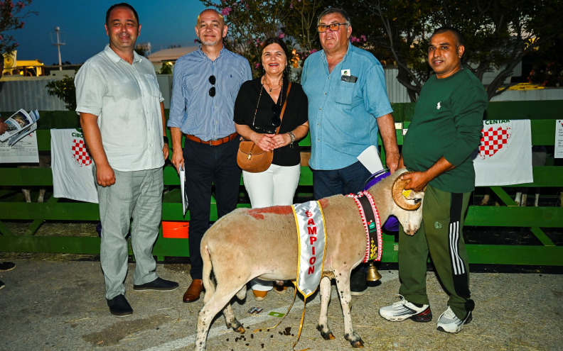 Šampionsko zvono otišlo u Kolan, ovan MIH farme najbolji na 24. izložbi paške ovce
