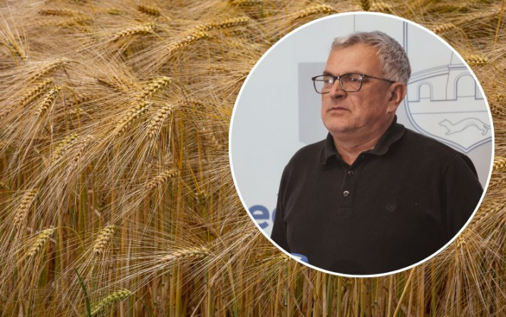 Počela žetva ječma: Ratari su zadovoljni urodom, ne i cijenom