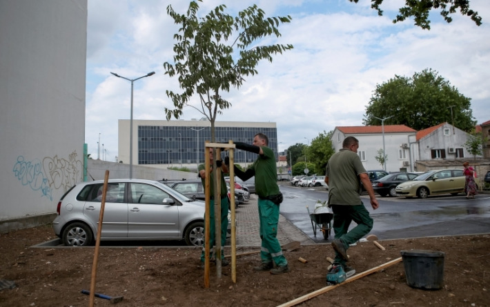 Počela sadnja stabala na parkiralištu na Relji, sade se fafarikule i murve