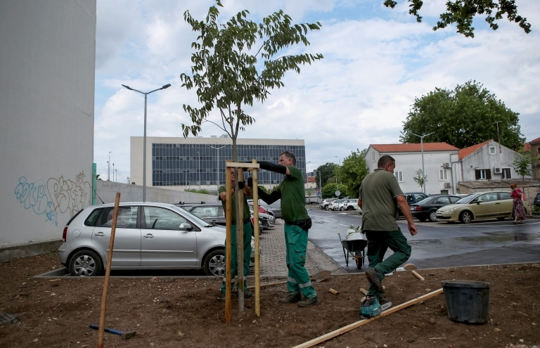Počela sadnja stabala na parkiralištu na Relji, sade se fafarikule i murve