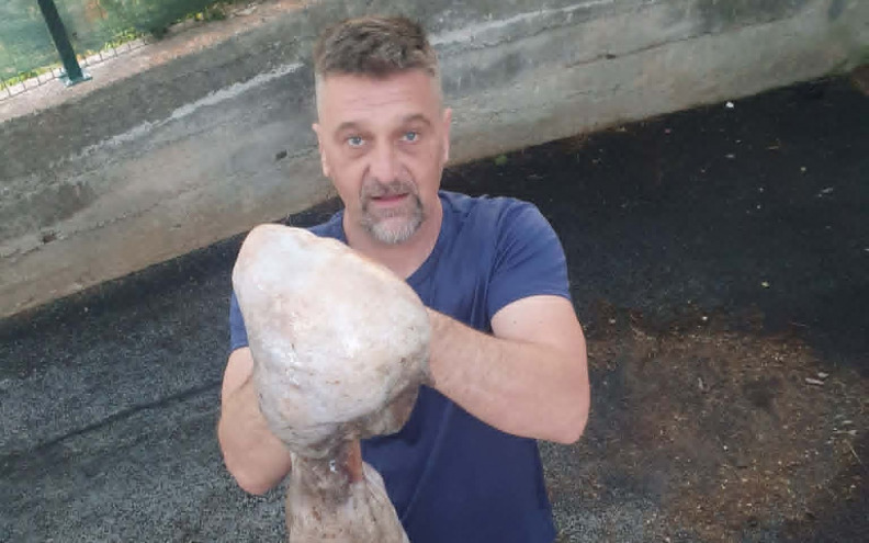 HOBOTNICA Mario Buleta iz Benkovca preciznim pogotkom ulovio kapitalku od preko 9 kilograma!