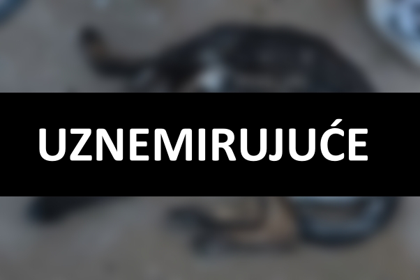 HOROR U BALAMA Vatrogasac mučio i izgladnjivao svoja dva psa do smrti