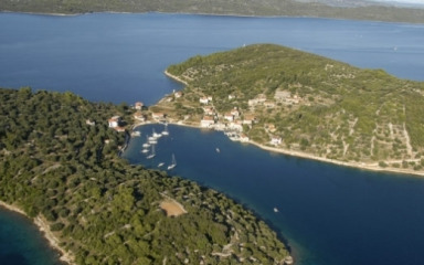 Odobren gradski prostor za razvoj otočnog maslinarstva