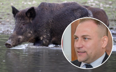 MUP se uključuje u borbu protiv afričke svinjske kuge: Koristit će dronove i termalne kamere