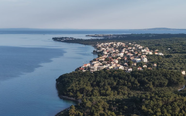 Kožinski bori napokon korak bliže proglašenju park-šume, imamo detalje