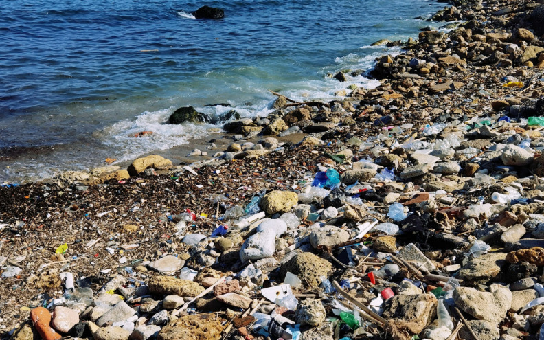 Lijepa naša puna ekoloških, ali i zdravstvenih izazova