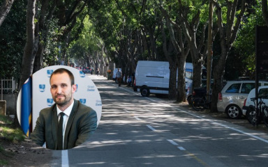 I gradonačelnik odbacio glasine: Rekonstrukcija dolazi, no drvored fafarikula ostaje!
