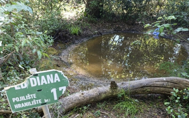 Lovci napunili pojilišta za divlje životinje