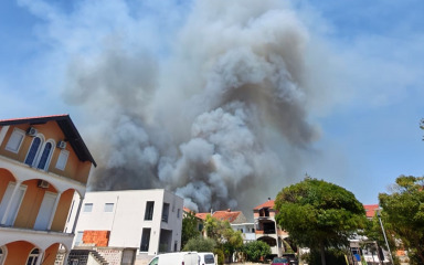 Lokaliziran požar na Novom Bokanjcu, izgorjelo 12 hektara šume i niskog raslinja