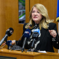Sandro Lovrinović u Gradskom vijeću zamjenjuje Irenu Dragić