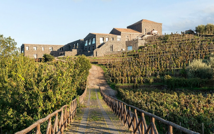 Kad lava određuje granice vinograda: Priča o jedinstvenim vinima s Etne