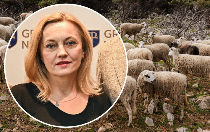 Petir o budućnosti ovčarstva i kozarstva: ‘Uzgajivači moraju moći živjeti od svojega rada’