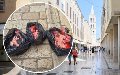 Krvave vreće pune kostiju ostavljene usred Poluotoka: ‘Ovo je čisti bezobrazluk i ozbiljan zdravstveni rizik’